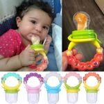 Fruit Feeder Pacifier-Baby Teething Toy Teether